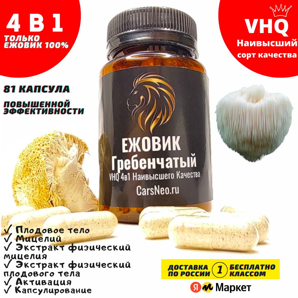 VHQ lion’s mane Ежовик Гребенчатый Наивысшего Качества 4в1 Купить Микродозинг