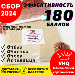 VHQ Микродозинг мухоморов НАВЫСШИЙ сорт. Порошок 125 микродоз по 400 мг или 165 микродоз по 0.3 г